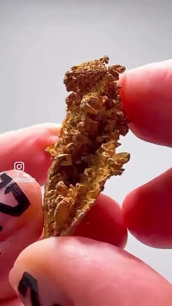 22.17 GRAMS OF NEVADA Gold — ABSOLUTE NATURAL ART - image 4