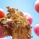22.17 GRAMS OF NEVADA Gold — ABSOLUTE NATURAL ART - image 2