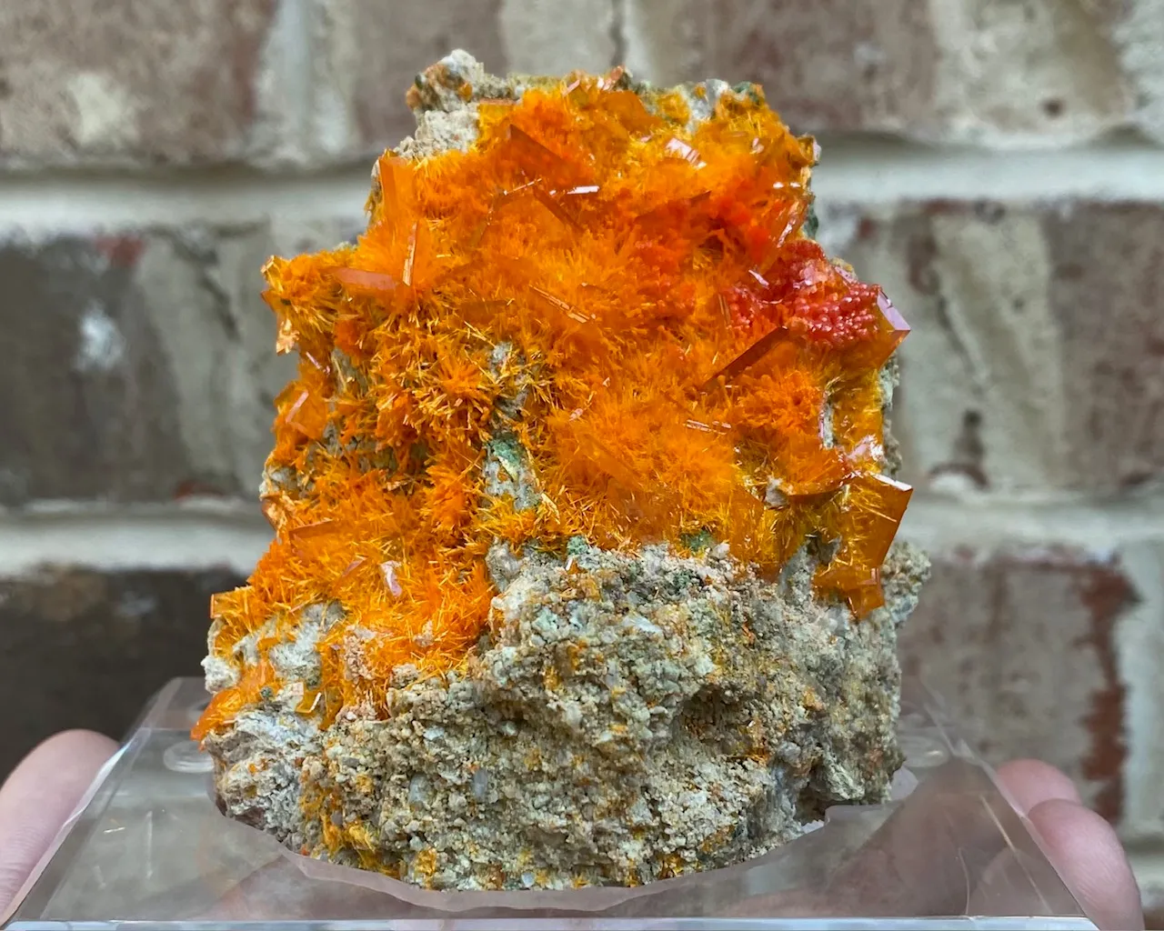 Profile cover