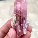 specimen video