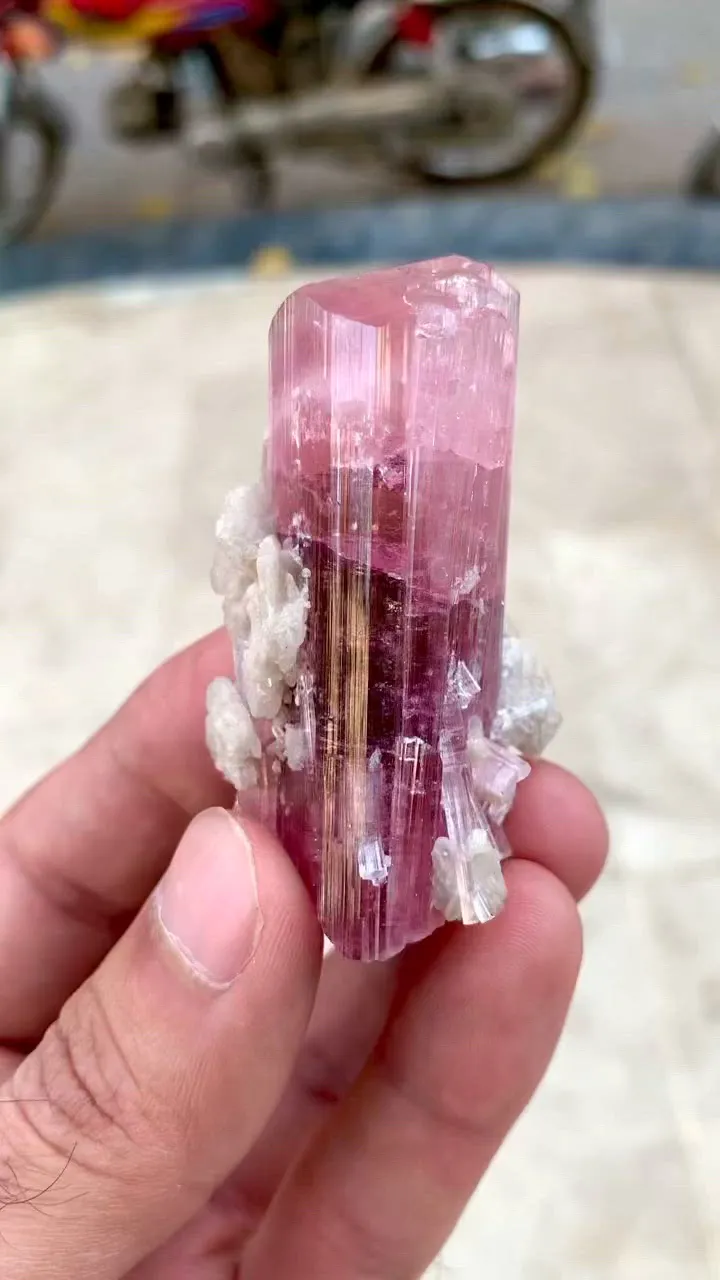 specimen video