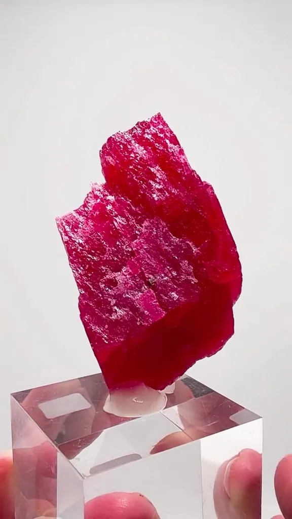 CHERRY RED Rhodonite PERFECTION
