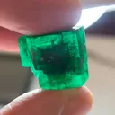 specimen video