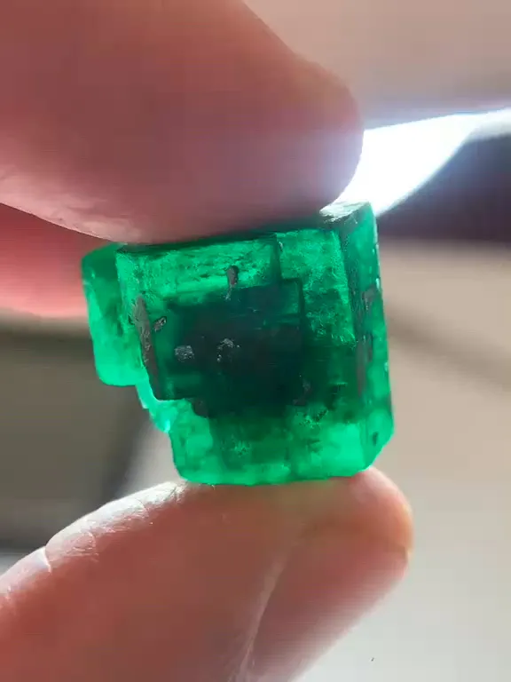 specimen video
