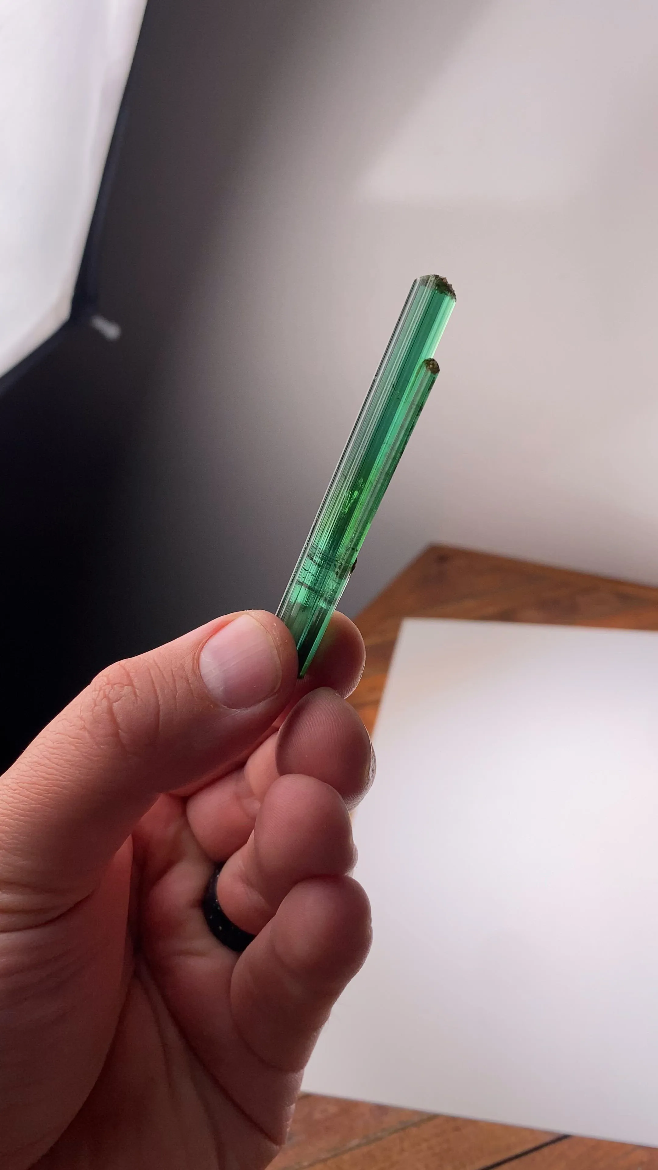 specimen video