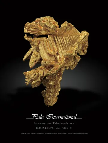 Pala International