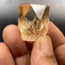 specimen video