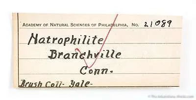 specimen