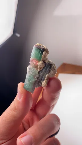 specimen video