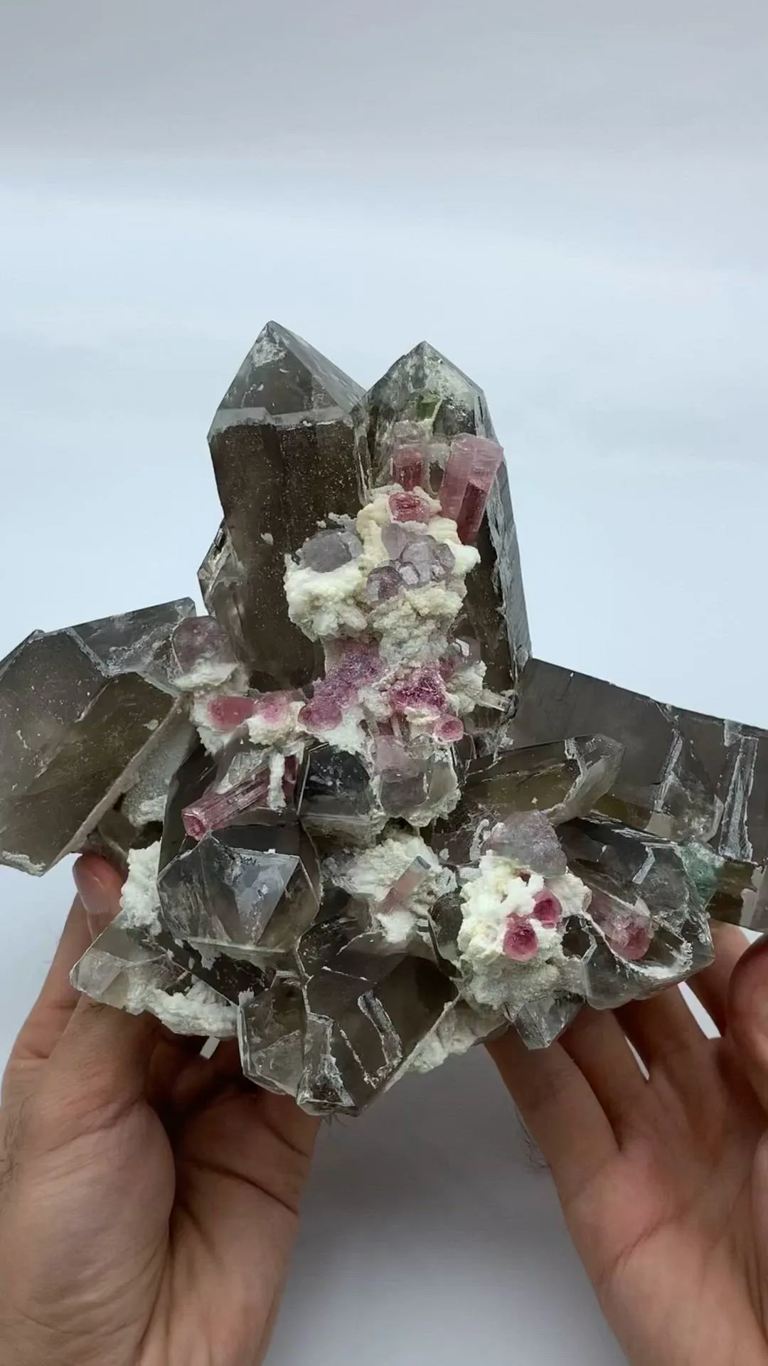 specimen video