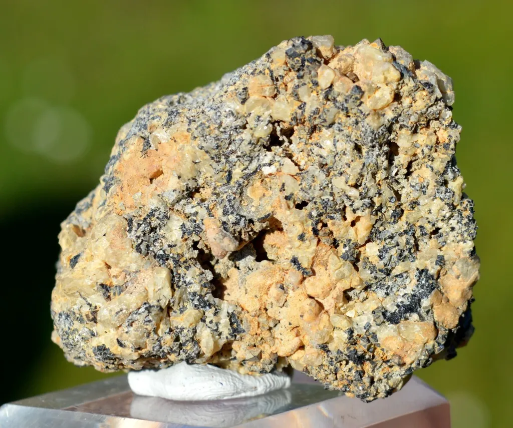 specimen