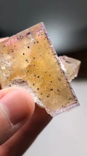 specimen video