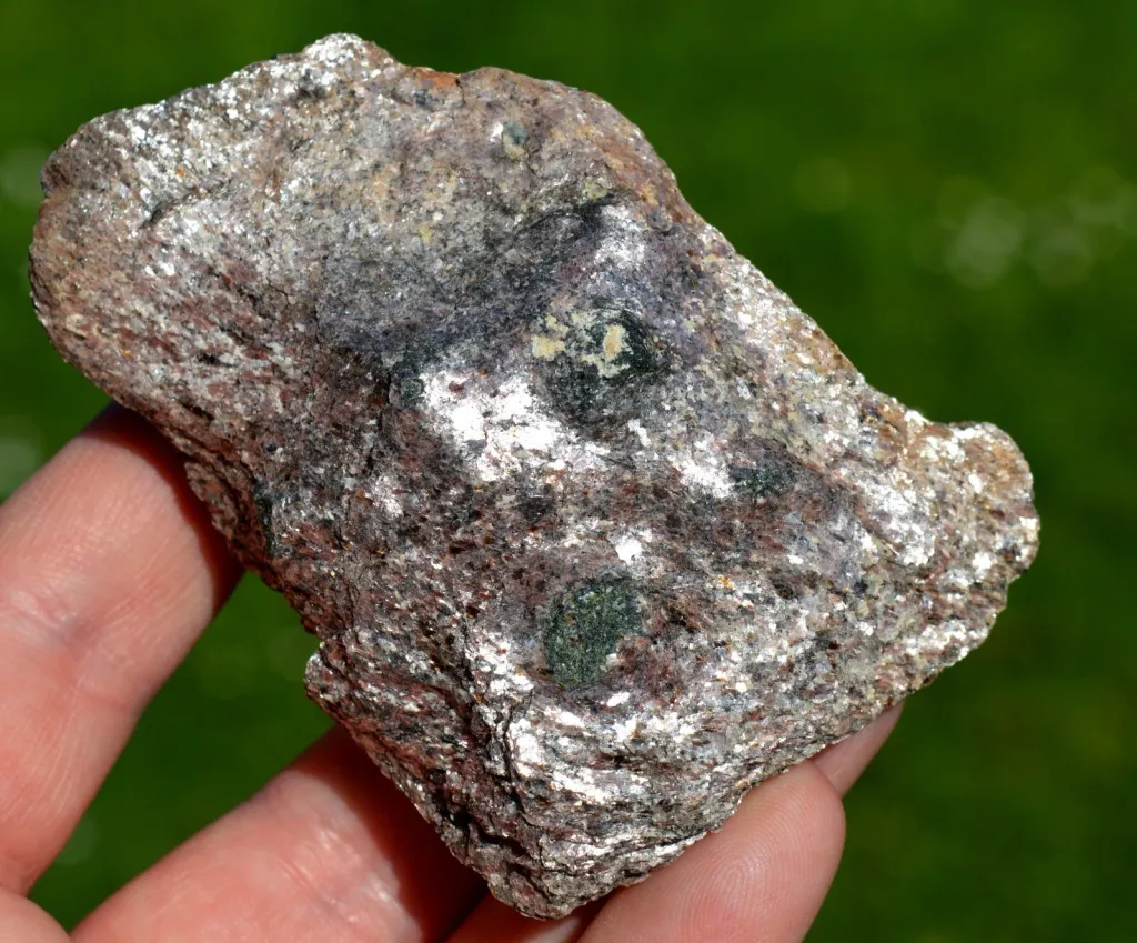 specimen