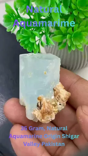 specimen video