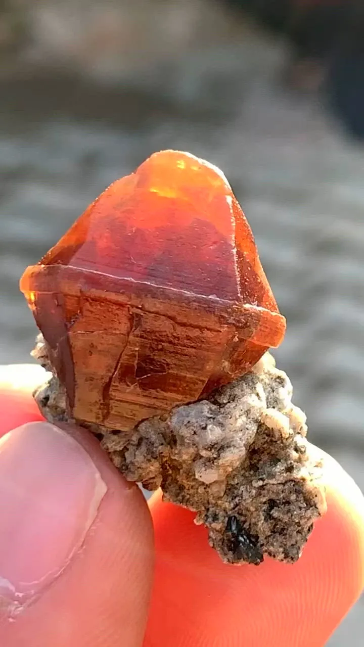 specimen video