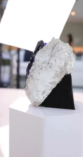 specimen video