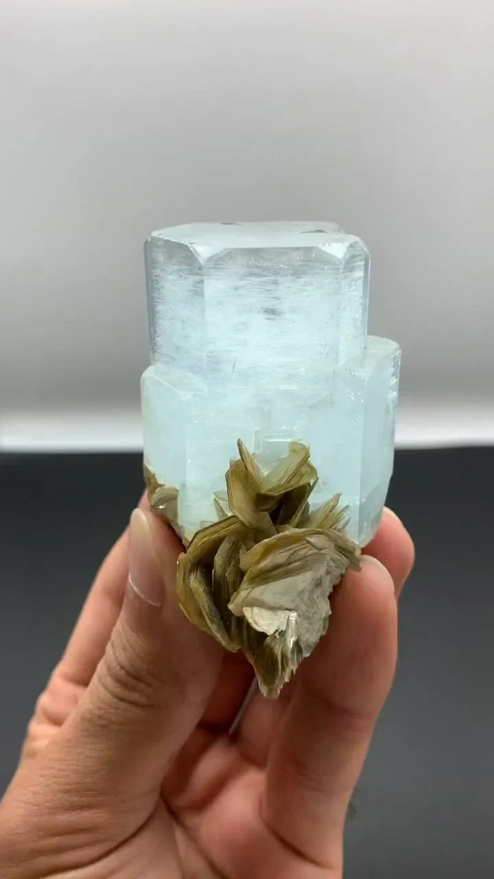 specimen video
