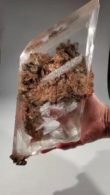 specimen video