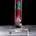 specimen video