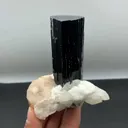 specimen video