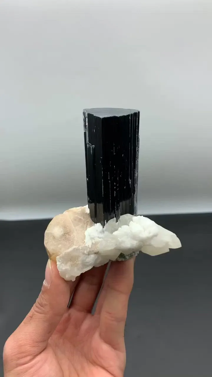 specimen video