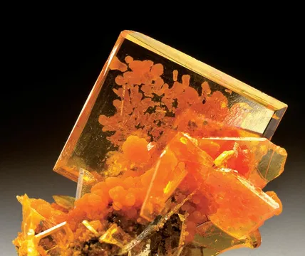 San Francisco Mine, Mexico Locality Guide