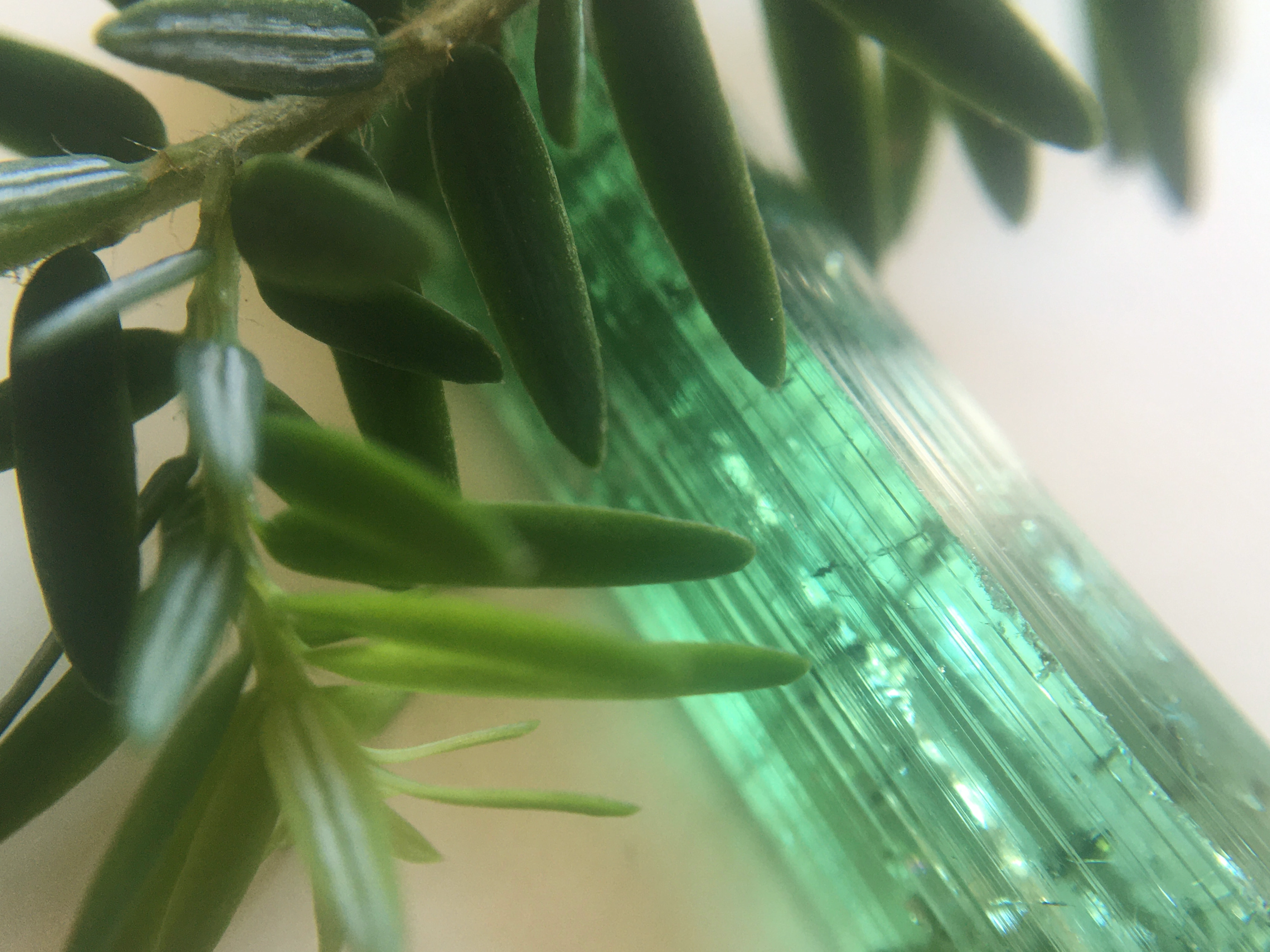 Profile cover