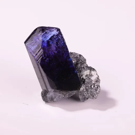 specimen video