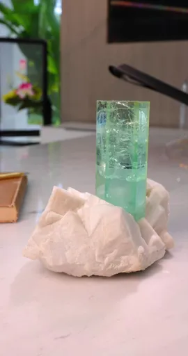specimen video