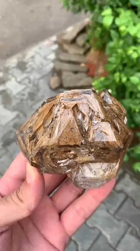 specimen video