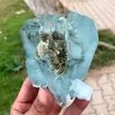 specimen video