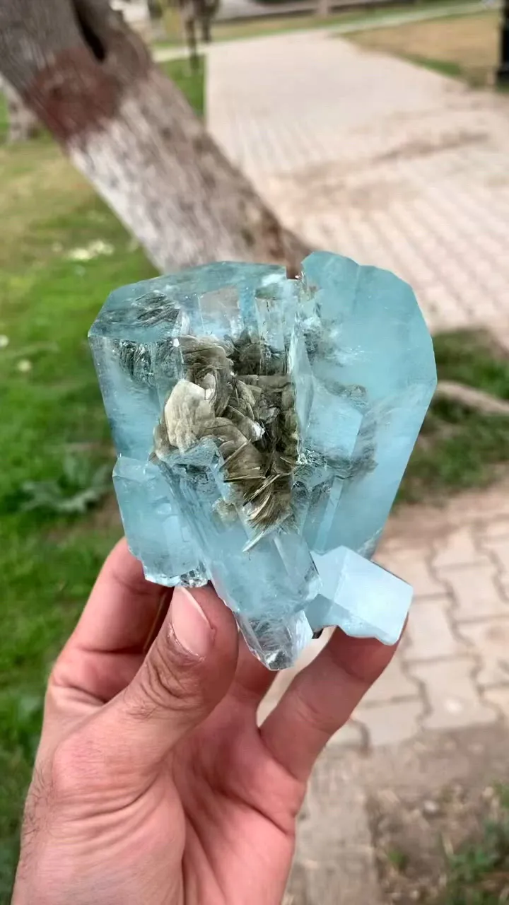 specimen video