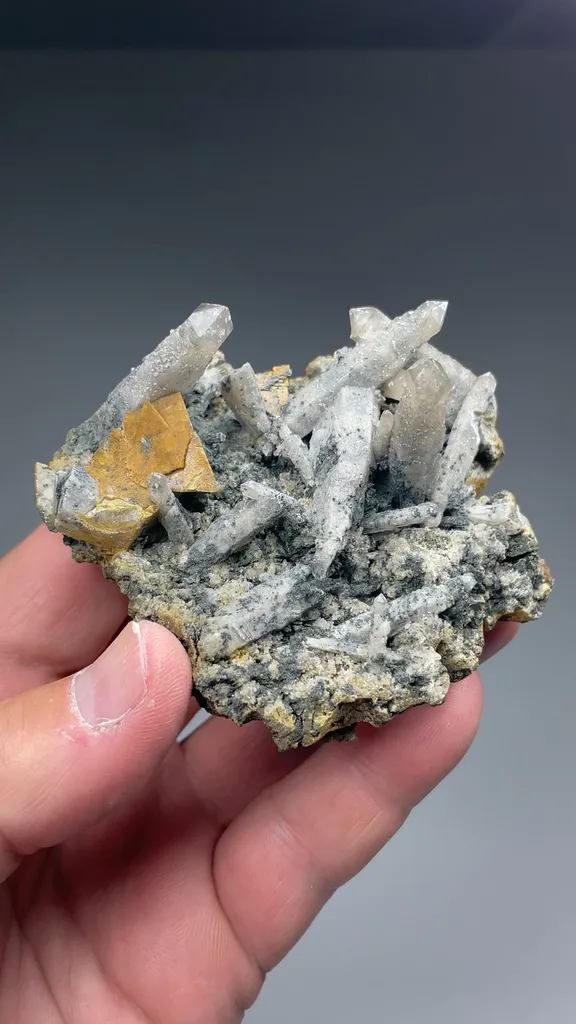 specimen