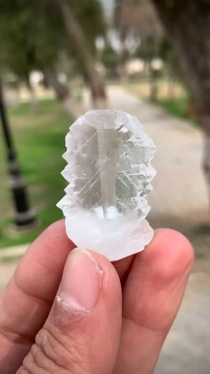 specimen video