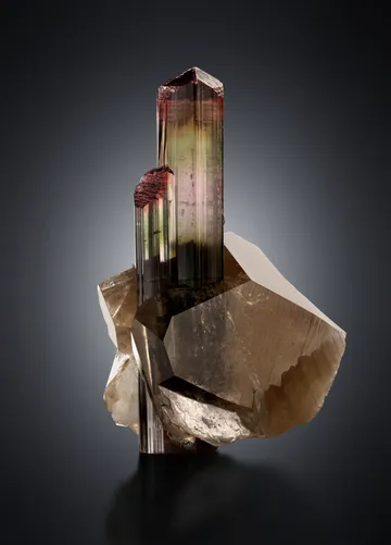 Liddicoatite