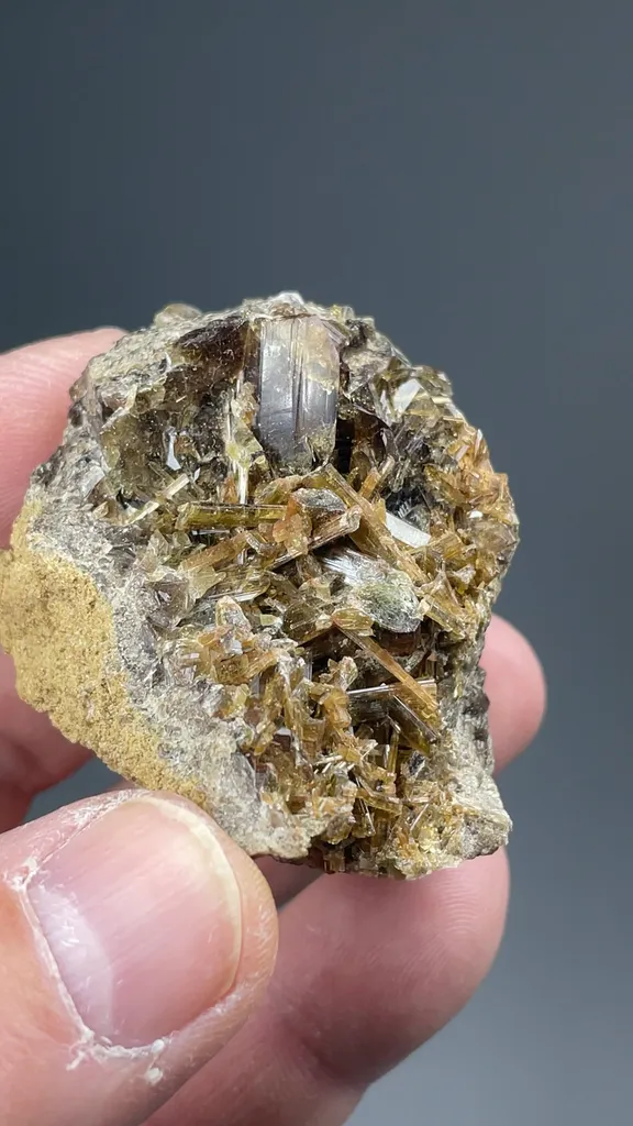 specimen