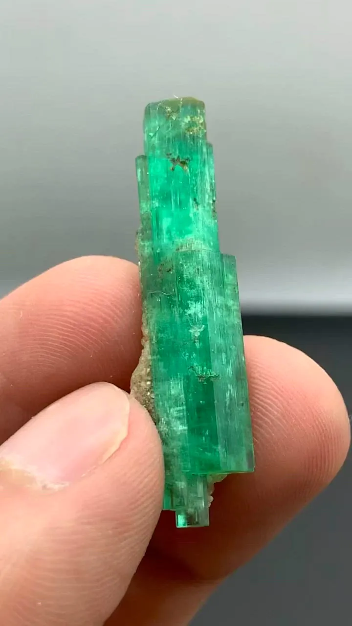 specimen video