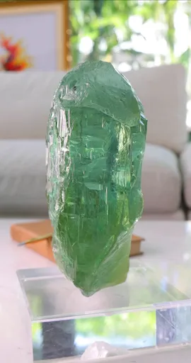 specimen video