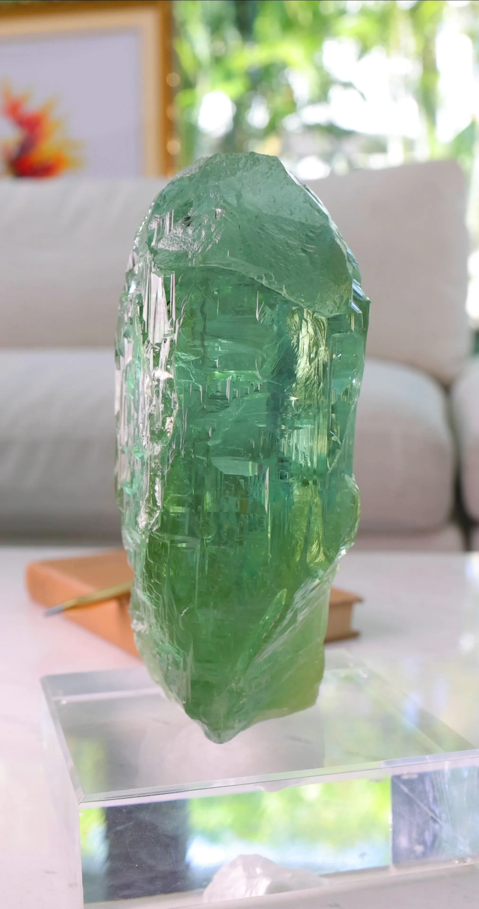 specimen video