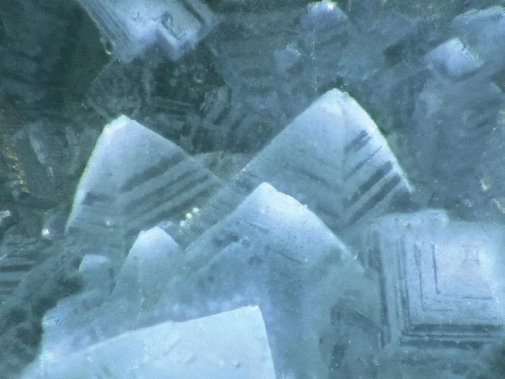 Wardite