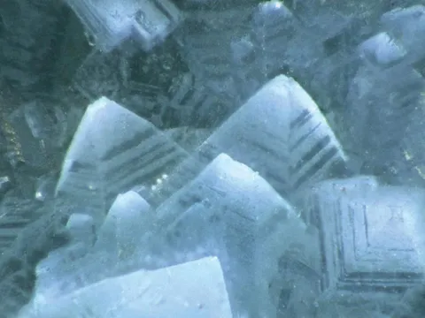 Wardite
