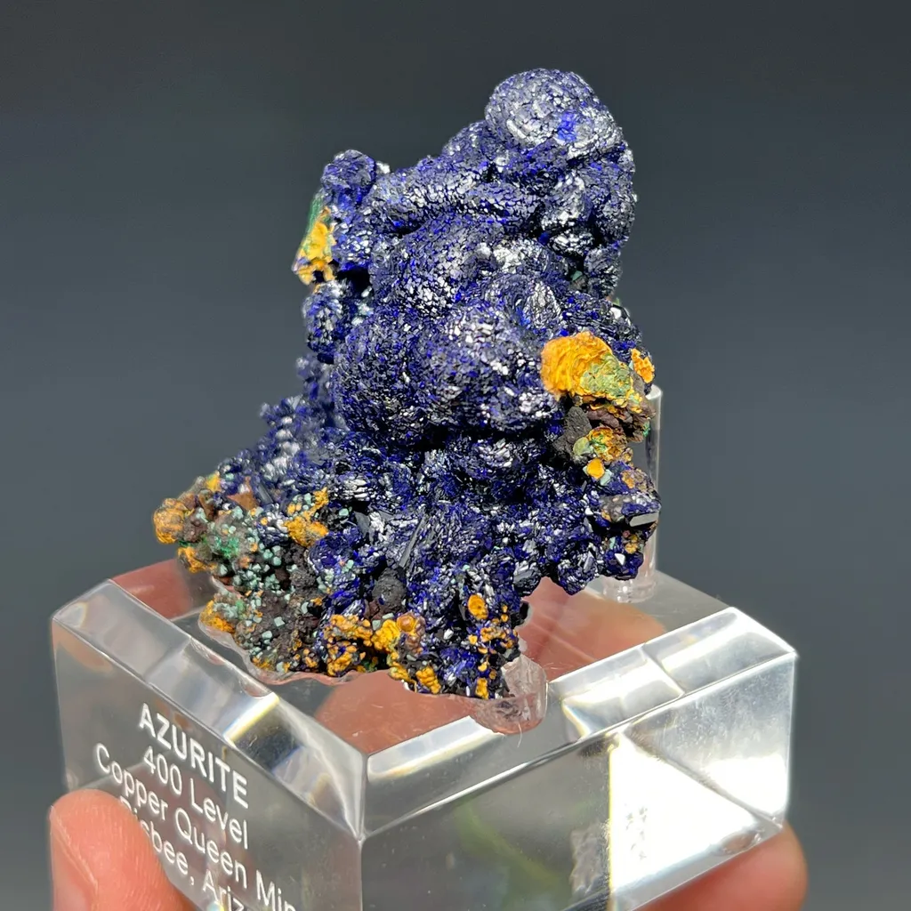 specimen