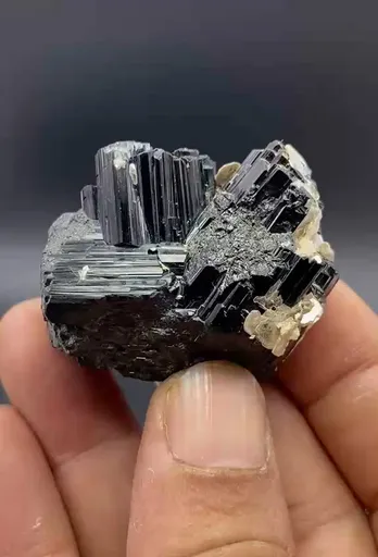specimen video