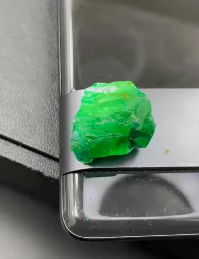 specimen video