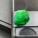 specimen video
