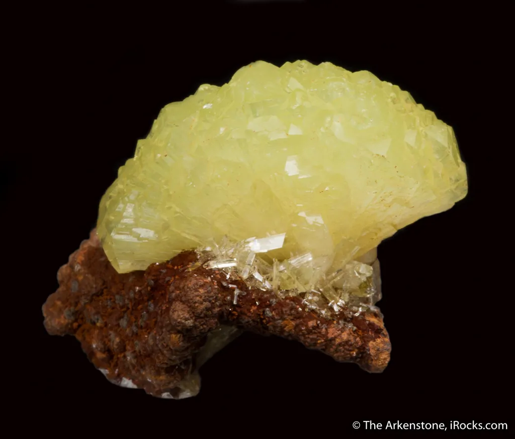 specimen