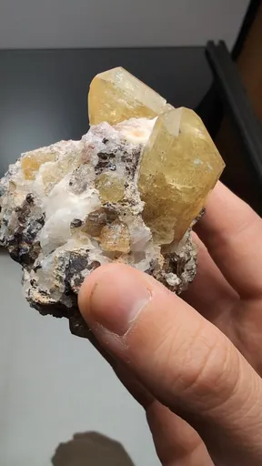 specimen video
