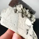 specimen video