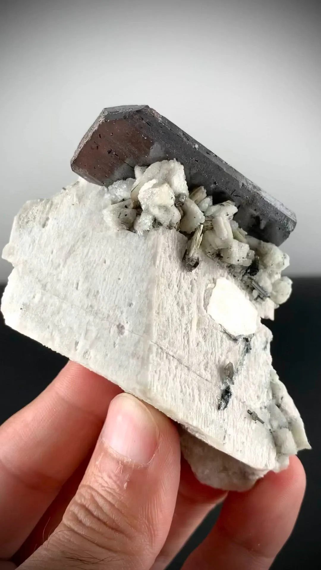 specimen video