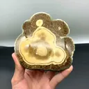 specimen video